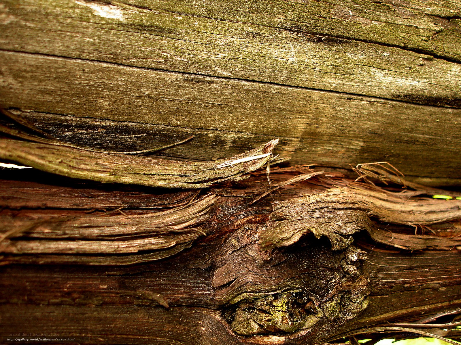 weathered wood texture