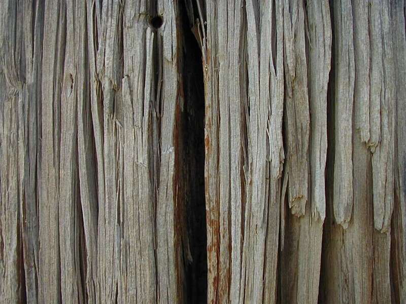 weathered wood texture