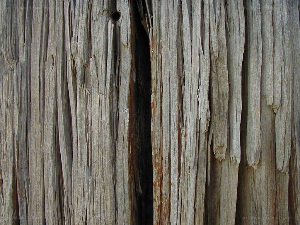 weathered wood texture