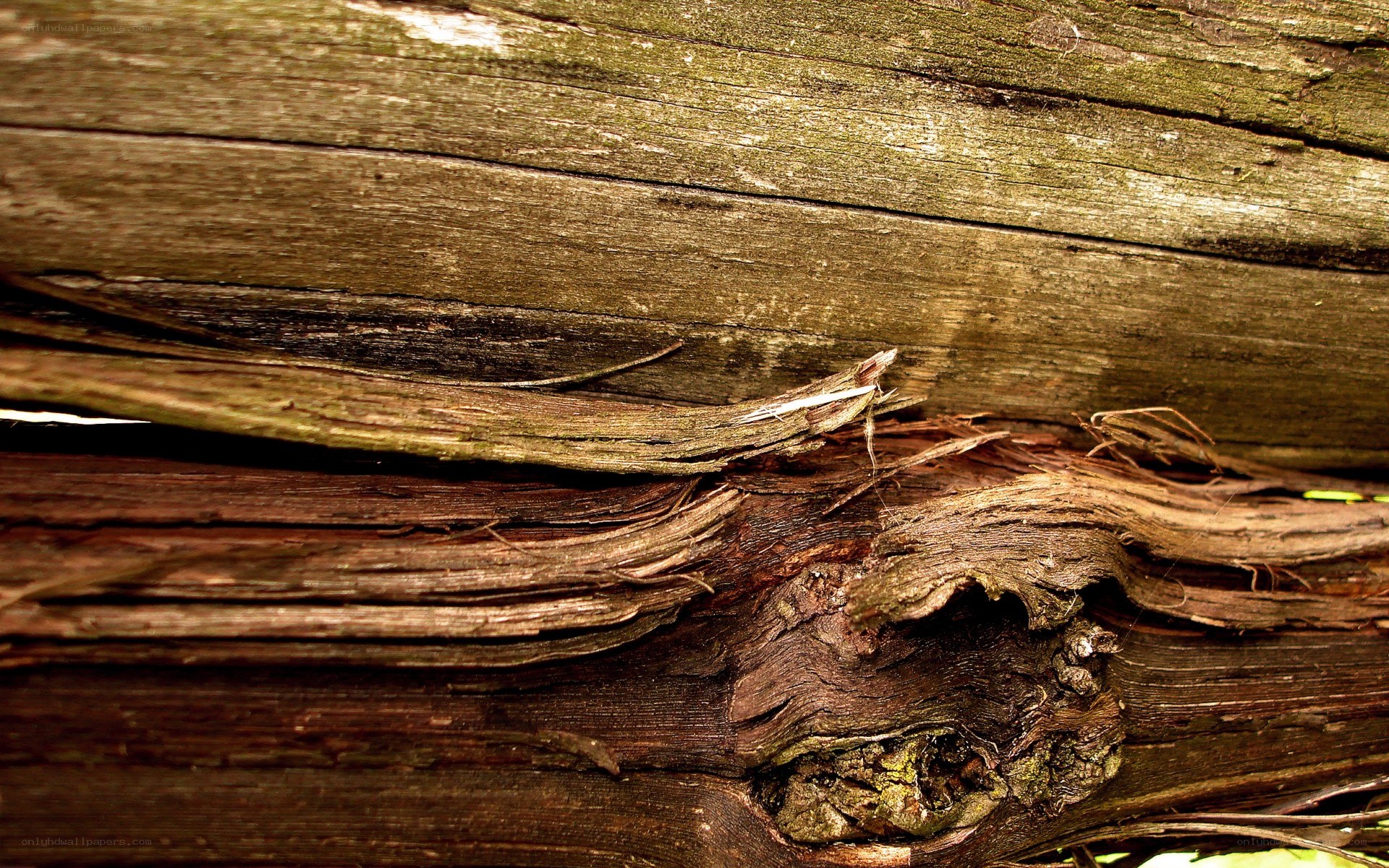 weathered wood texture