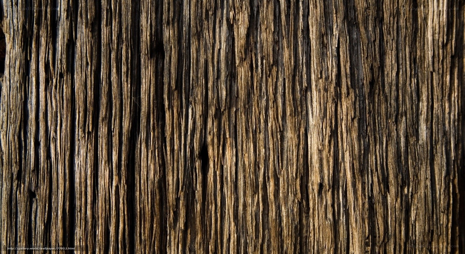 weathered wood texture