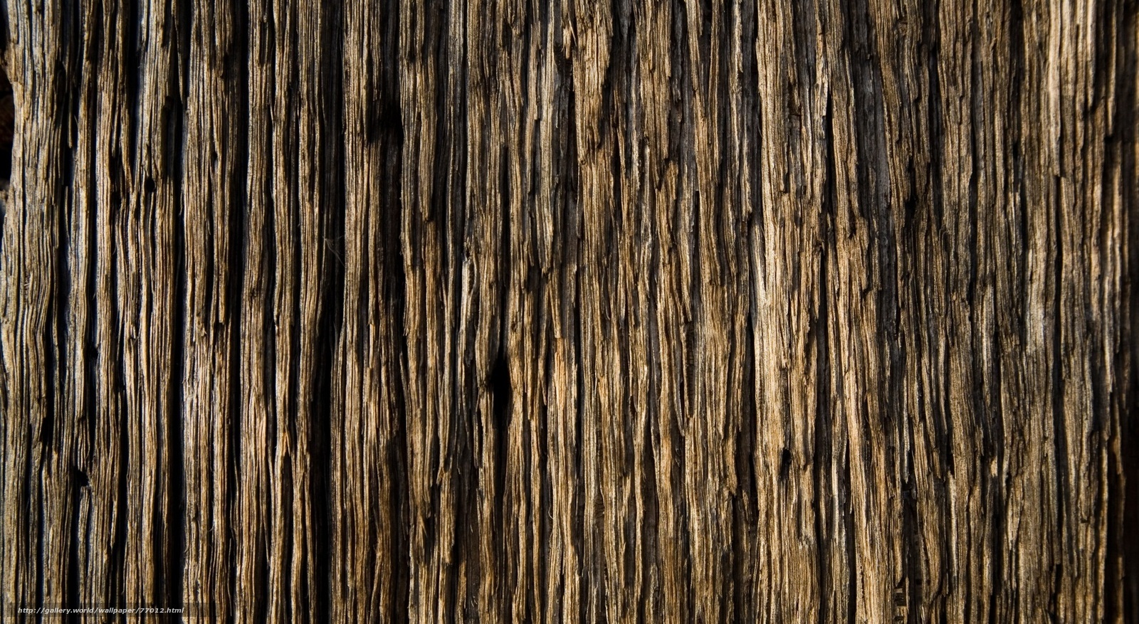 weathered wood texture