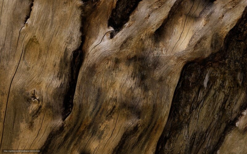 weathered wood texture