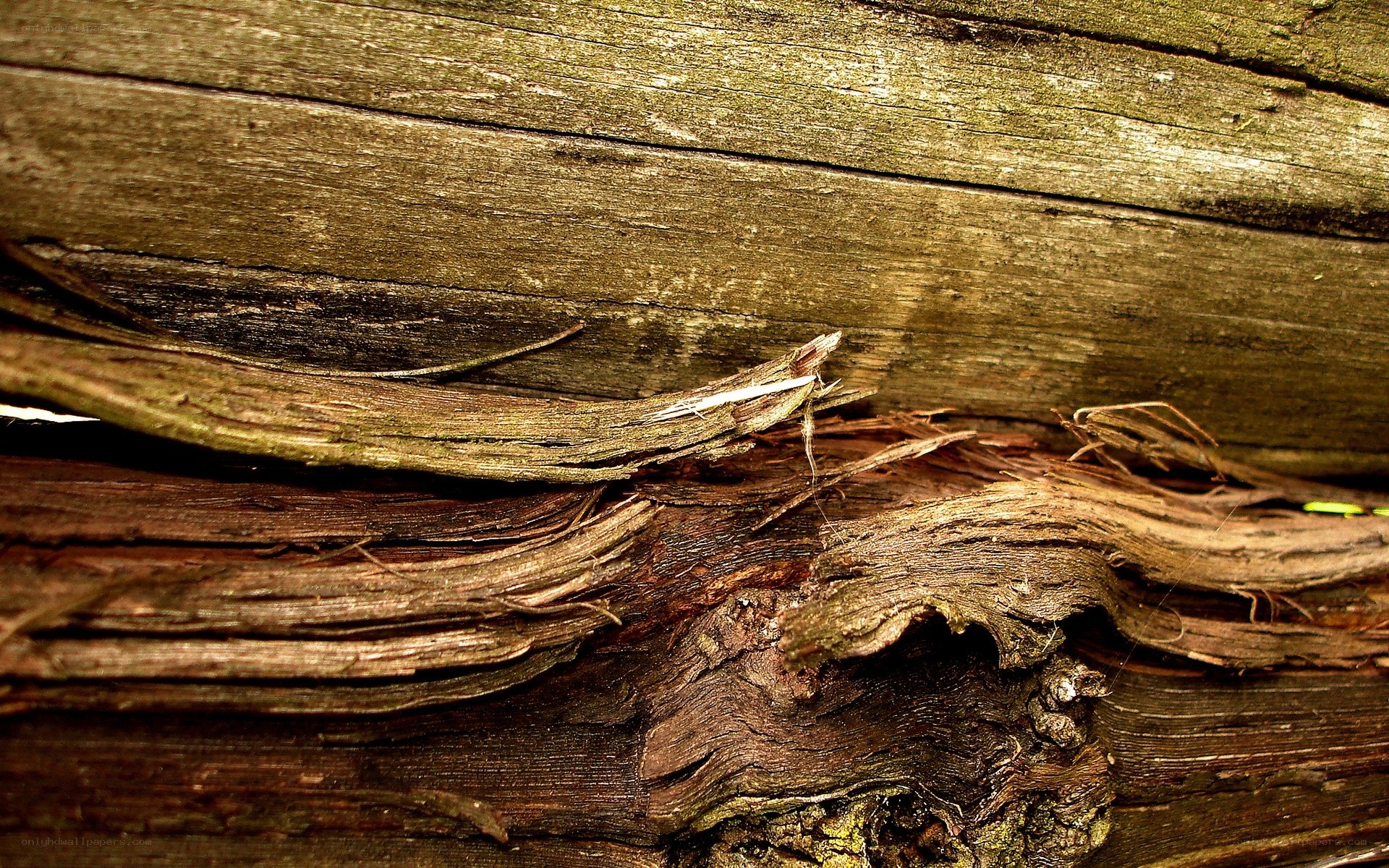 weathered wood texture