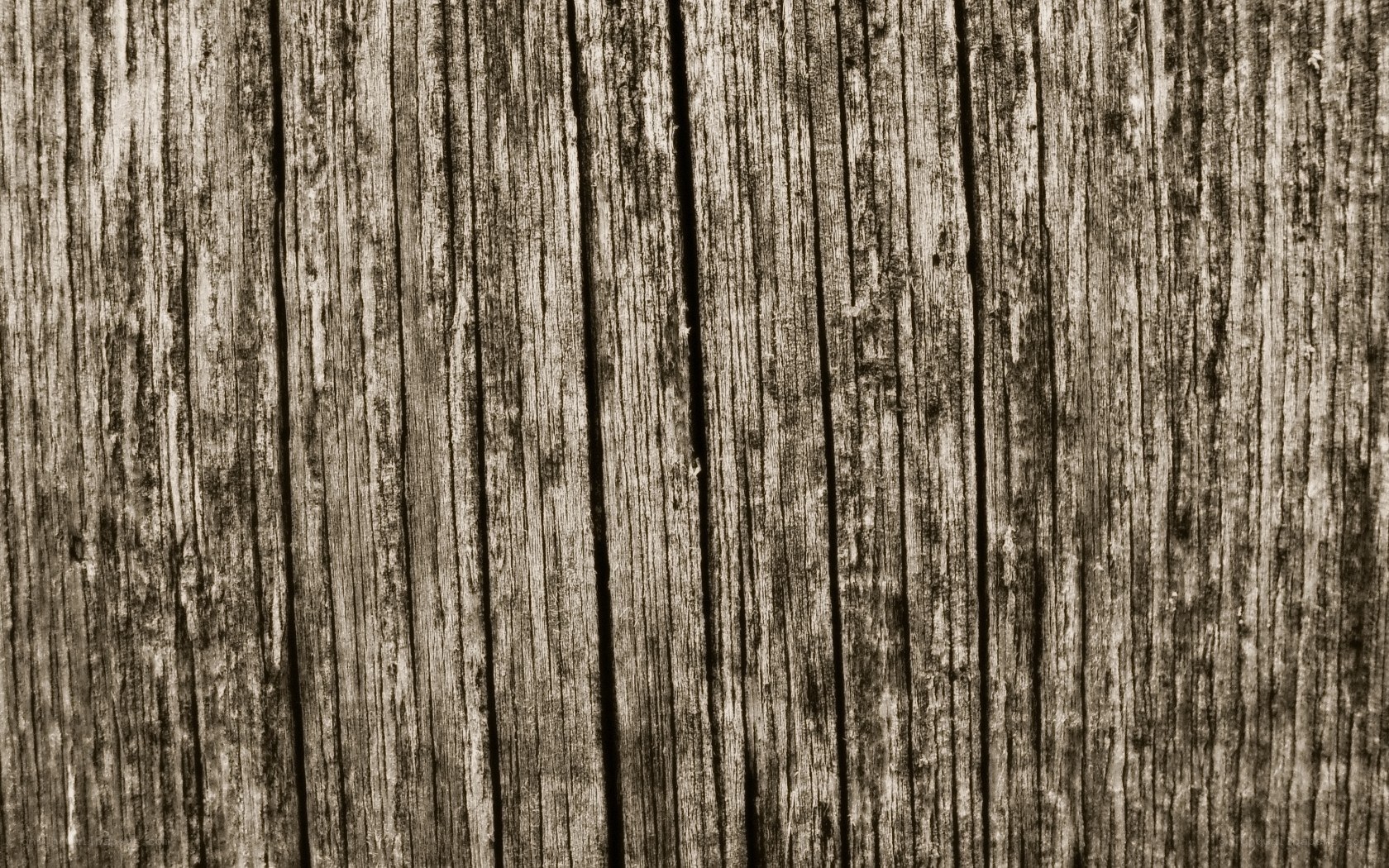 weathered wood texture
