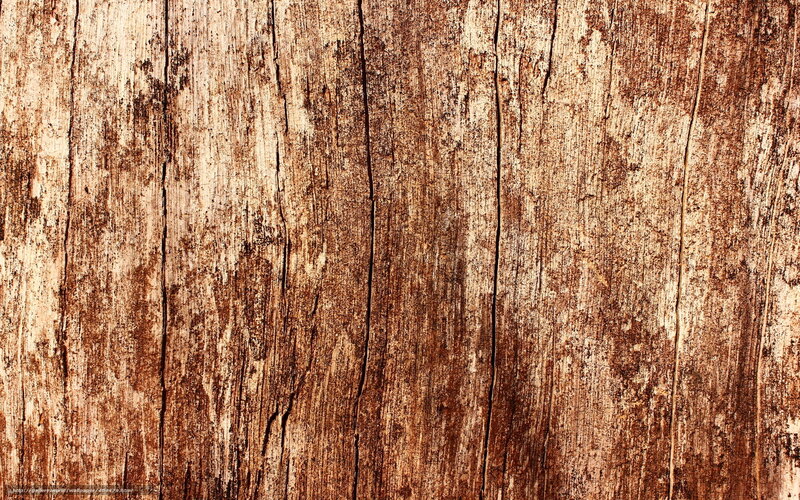 Weathered Wood Texture — Brown, Neutral