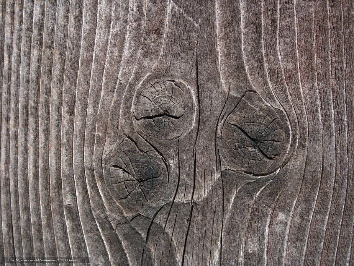 weathered wood texture