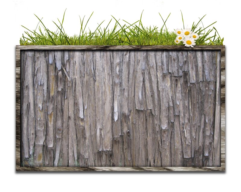 weathered wood with grass and daisies