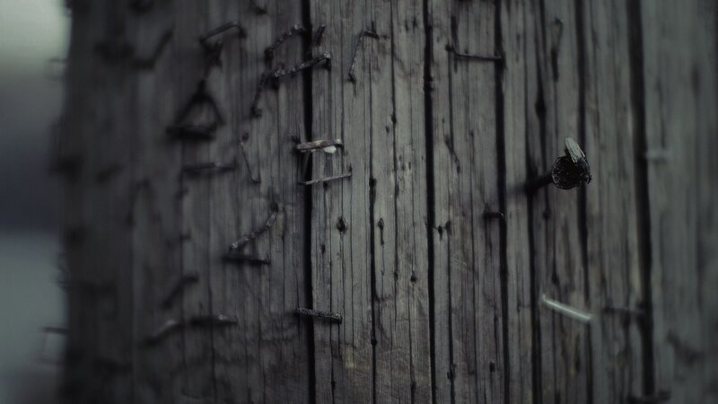 weathered wood with nails