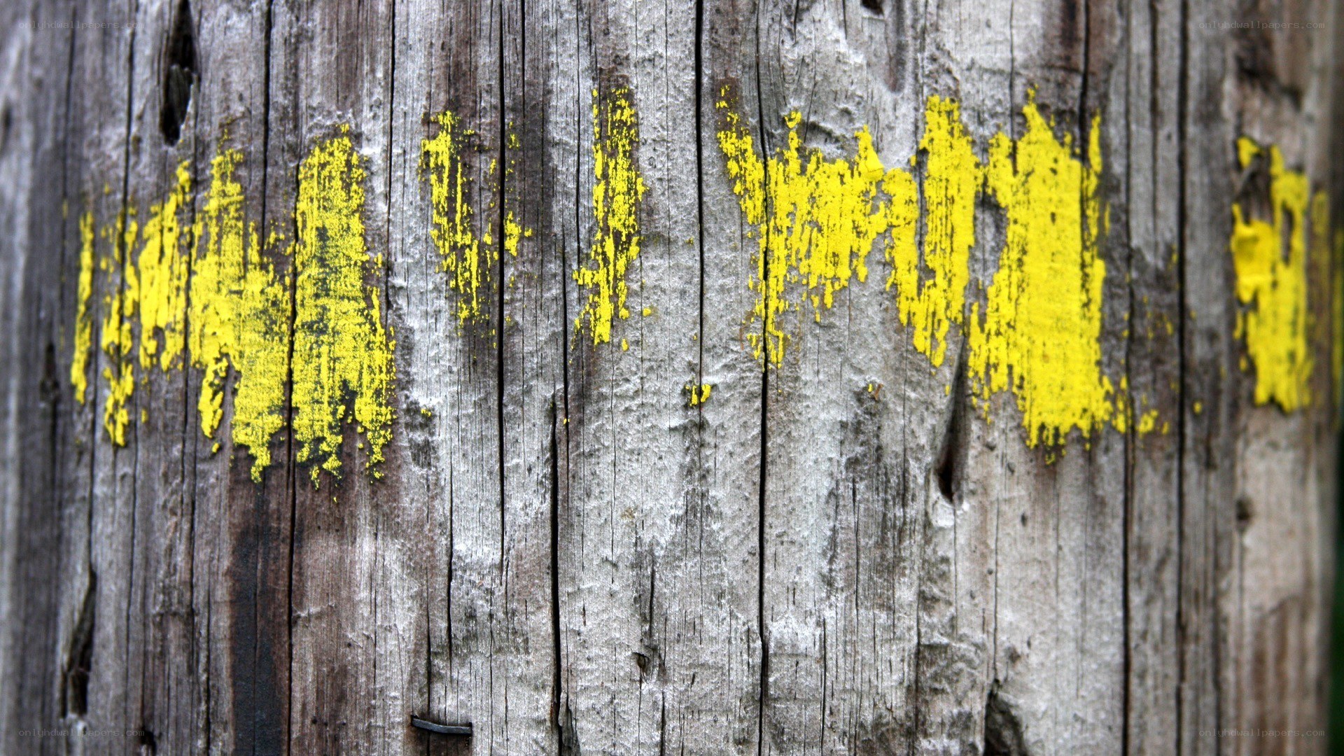weathered wood with yellow paint