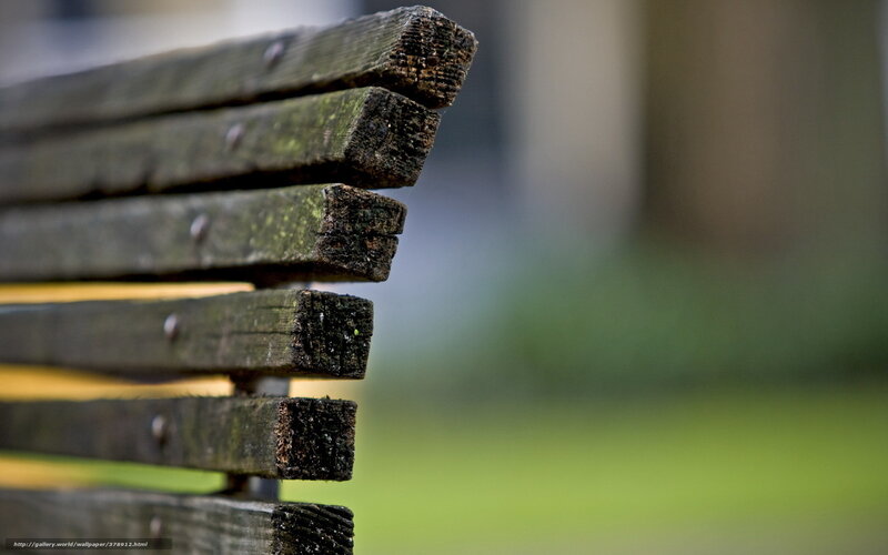 Weathered Wooden Bench — Brown