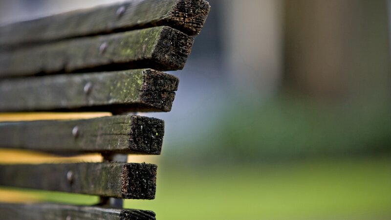 weathered wooden bench slats