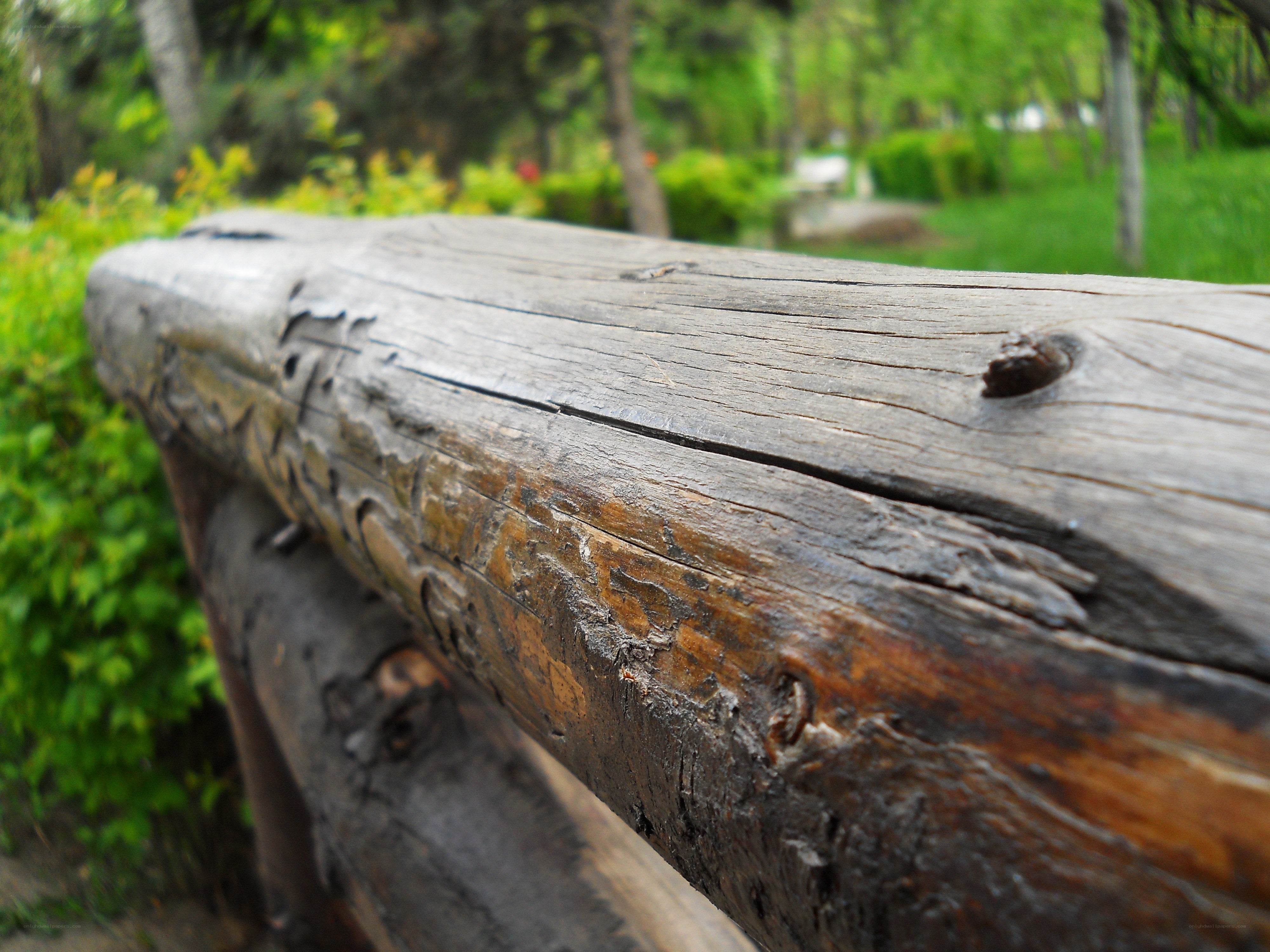 weathered wooden bench