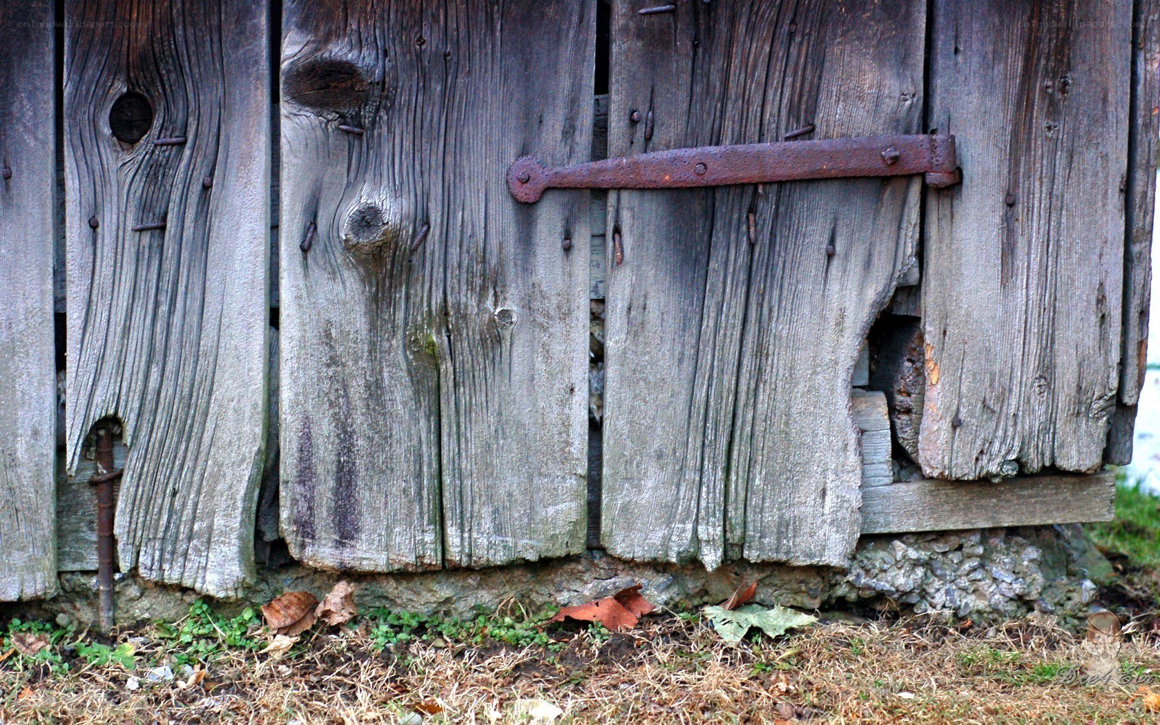 weathered wooden door with hinge