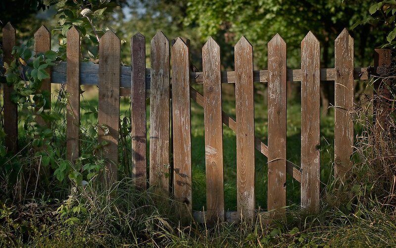 weathered wooden fence in garden