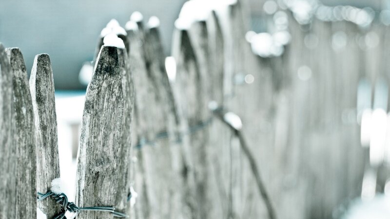 weathered wooden fence in winter