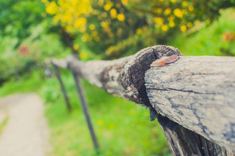 weathered wooden fence rail