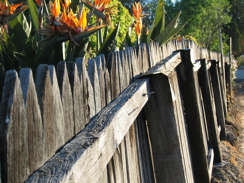 weathered wooden fence with flowers