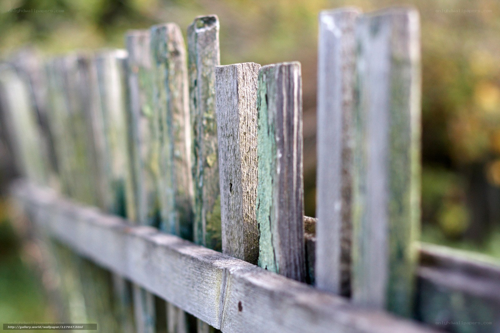 weathered wooden fence