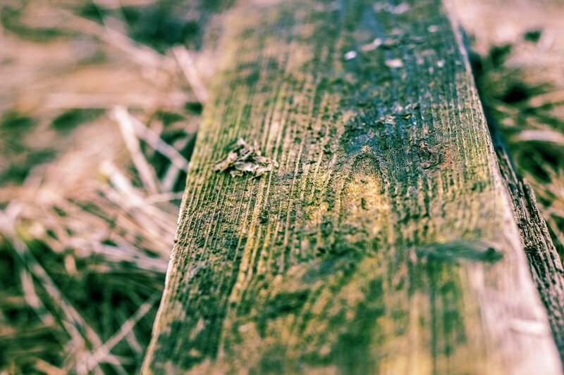 Weathered Wooden Plank — Green