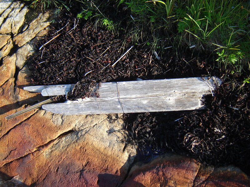 Weathered Wooden Plank