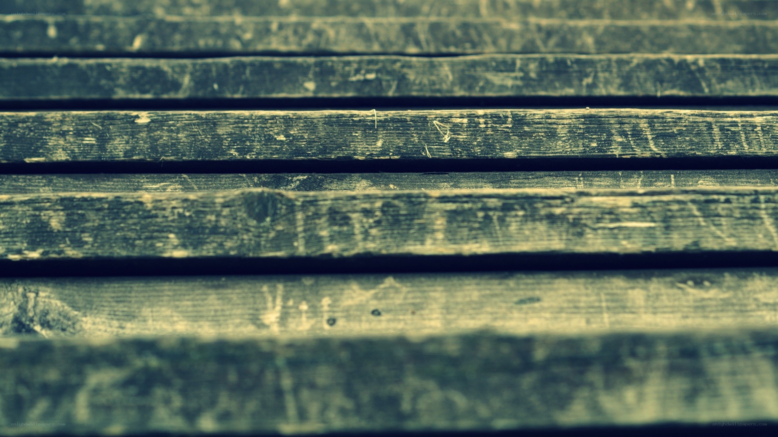 weathered wooden planks
