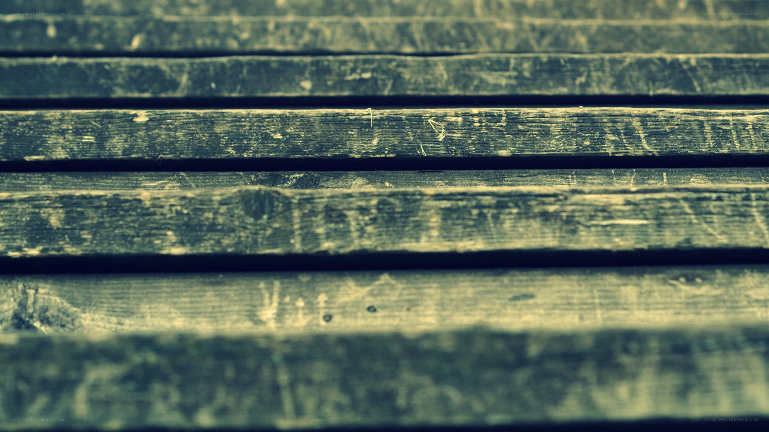 weathered wooden planks