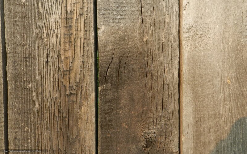 Weathered Wooden Planks — Brown, Neutral, Afternoon