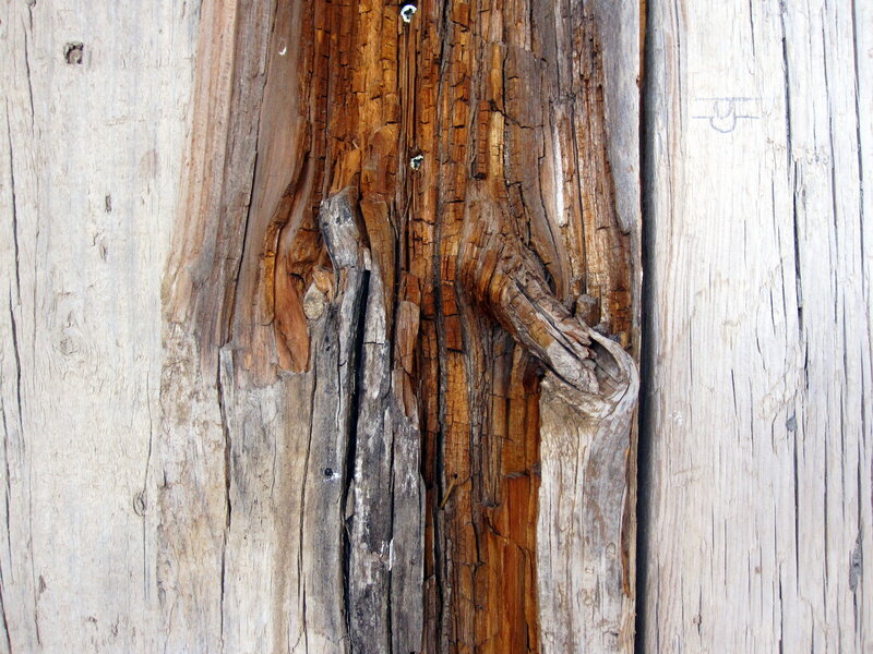 Weathered Wooden Planks — Brown, Textured, Photograph, Wood Grain, Cracks