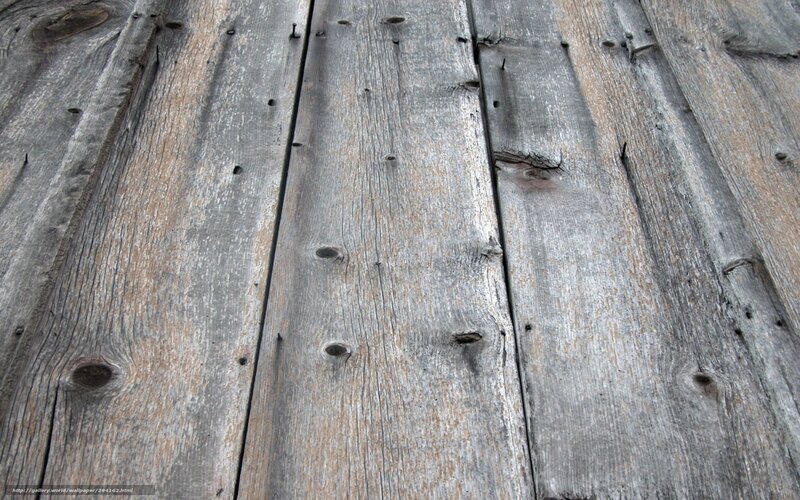 Weathered Wooden Planks — Gray, Neutral, Photograph