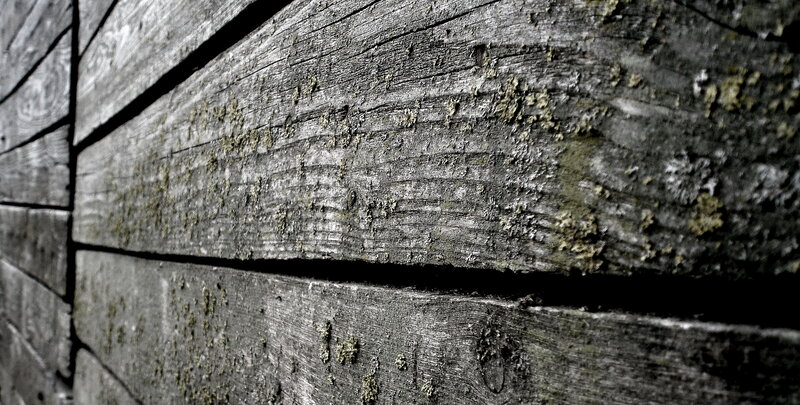 Weathered Wooden Planks — Gray