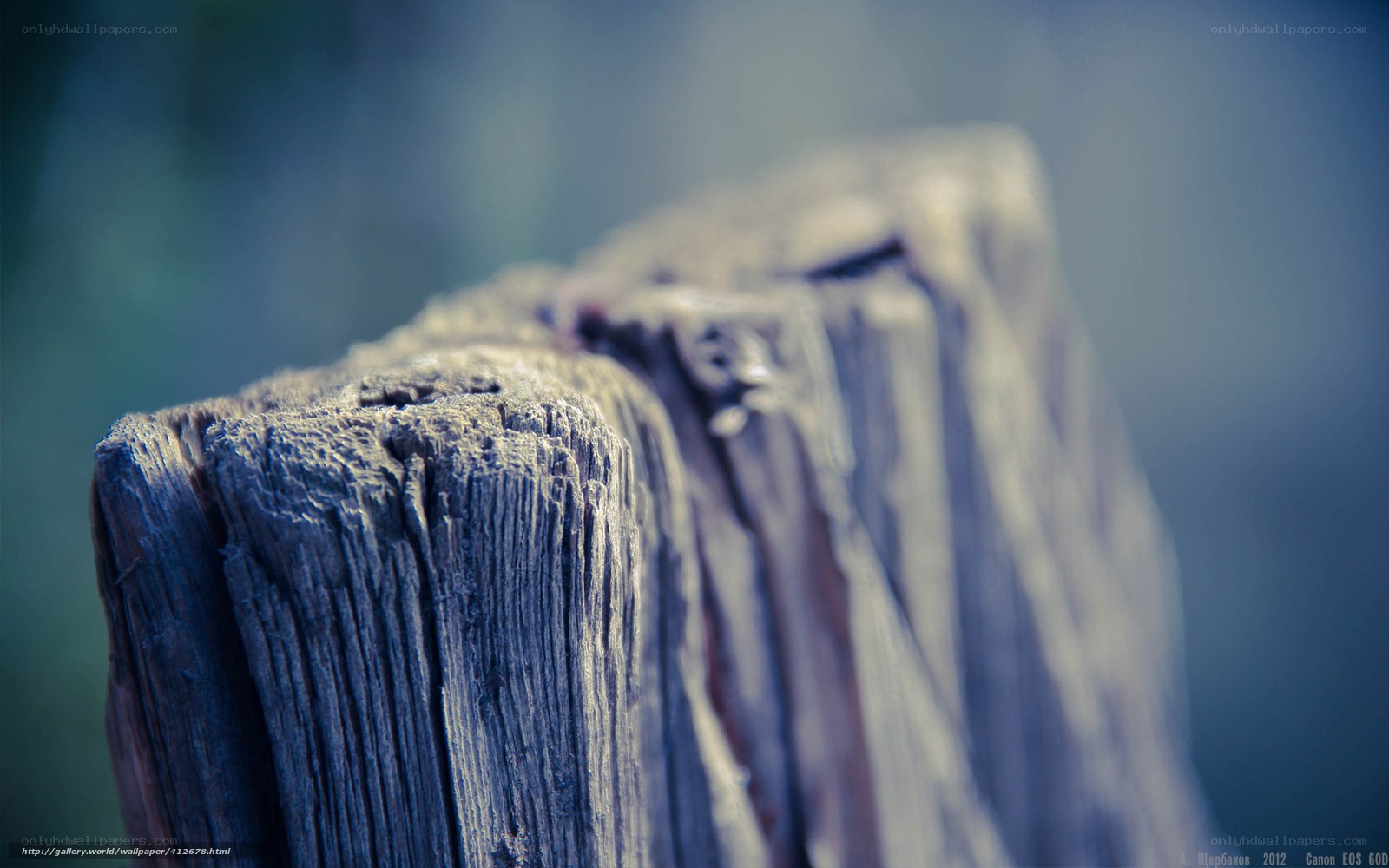 weathered wooden post