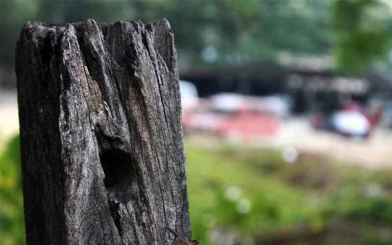 weathered wooden post
