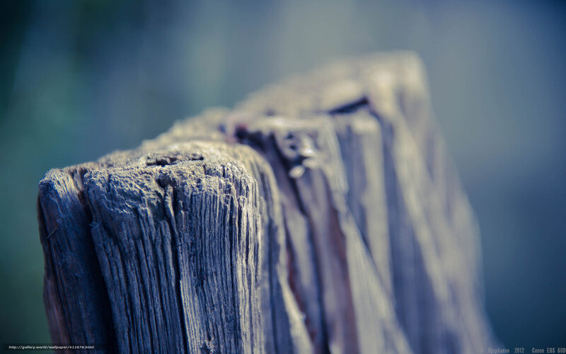 Weathered Wooden Post — Blue, Calm