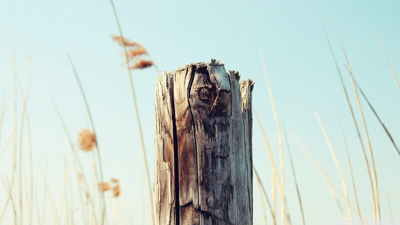 Weathered Wooden Post — Blue, Serene