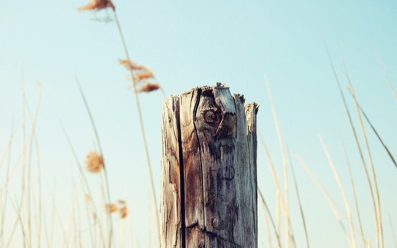 Weathered Wooden Post — Blue