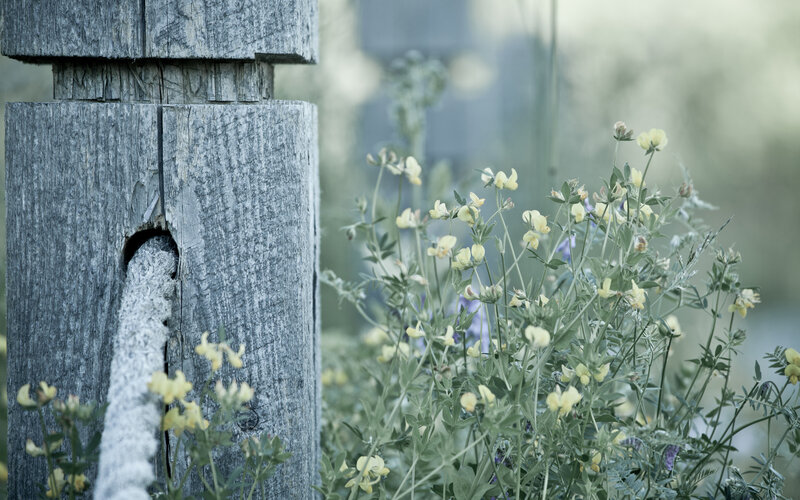 Weathered Wooden Post — Gray, Serene