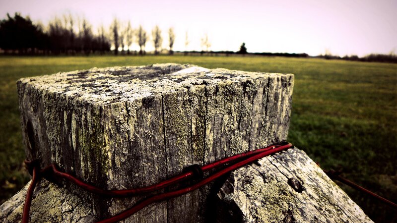 Weathered Wooden Post — Green