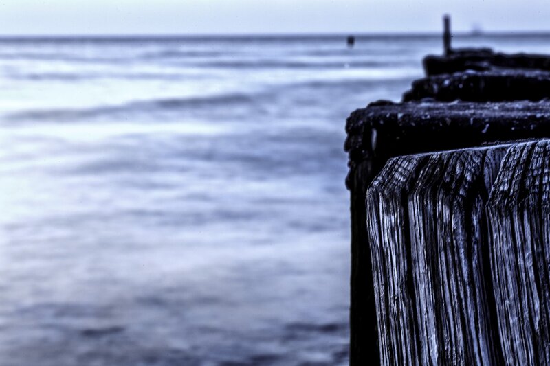 weathered wooden posts by the sea