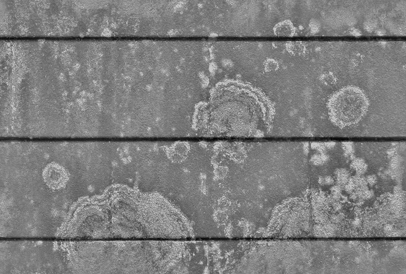 weathered wooden surface