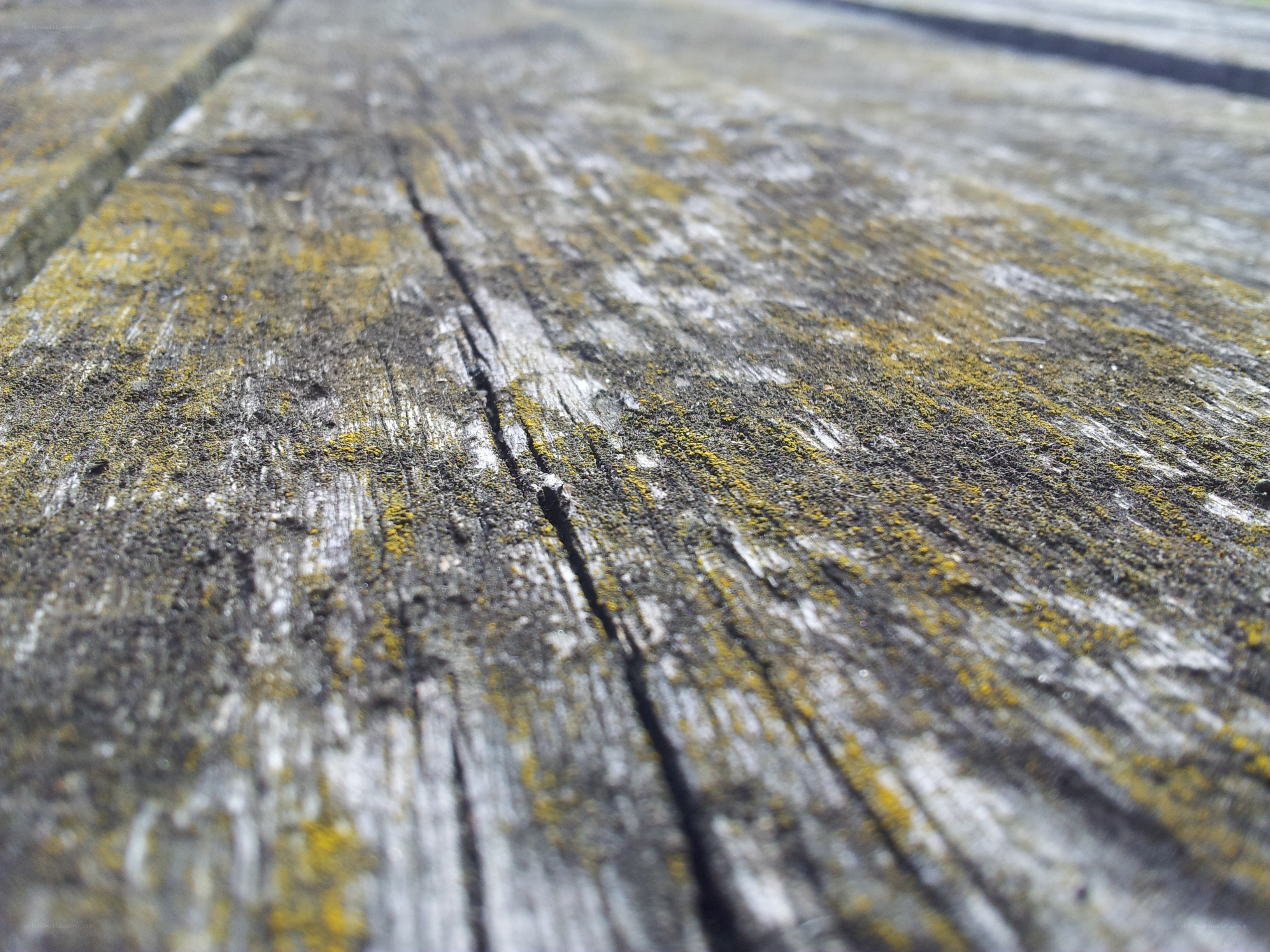 weathered wooden surface