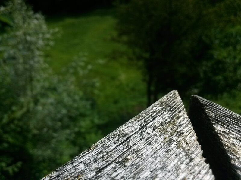 Weathered Wooden Surface — Green
