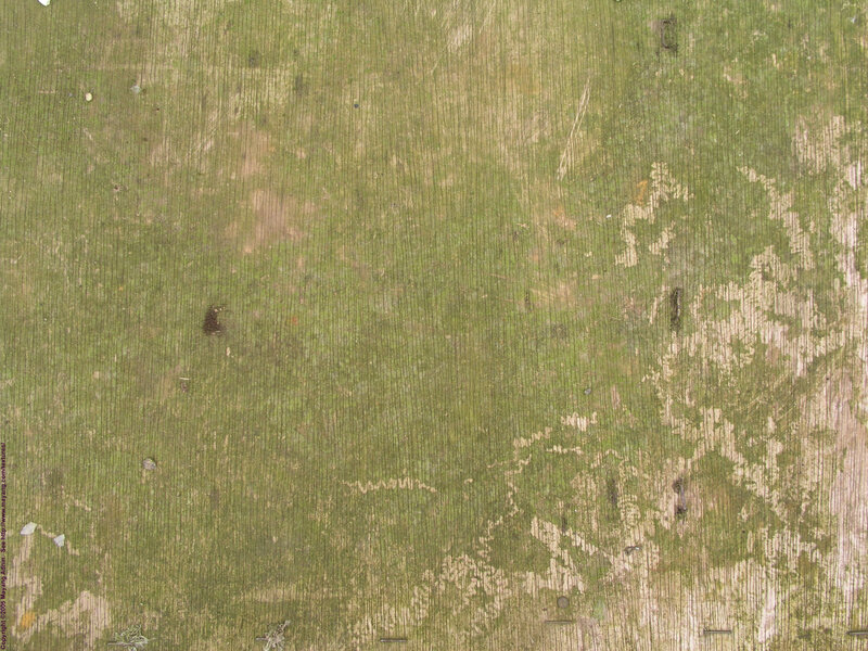 weathered wooden surface