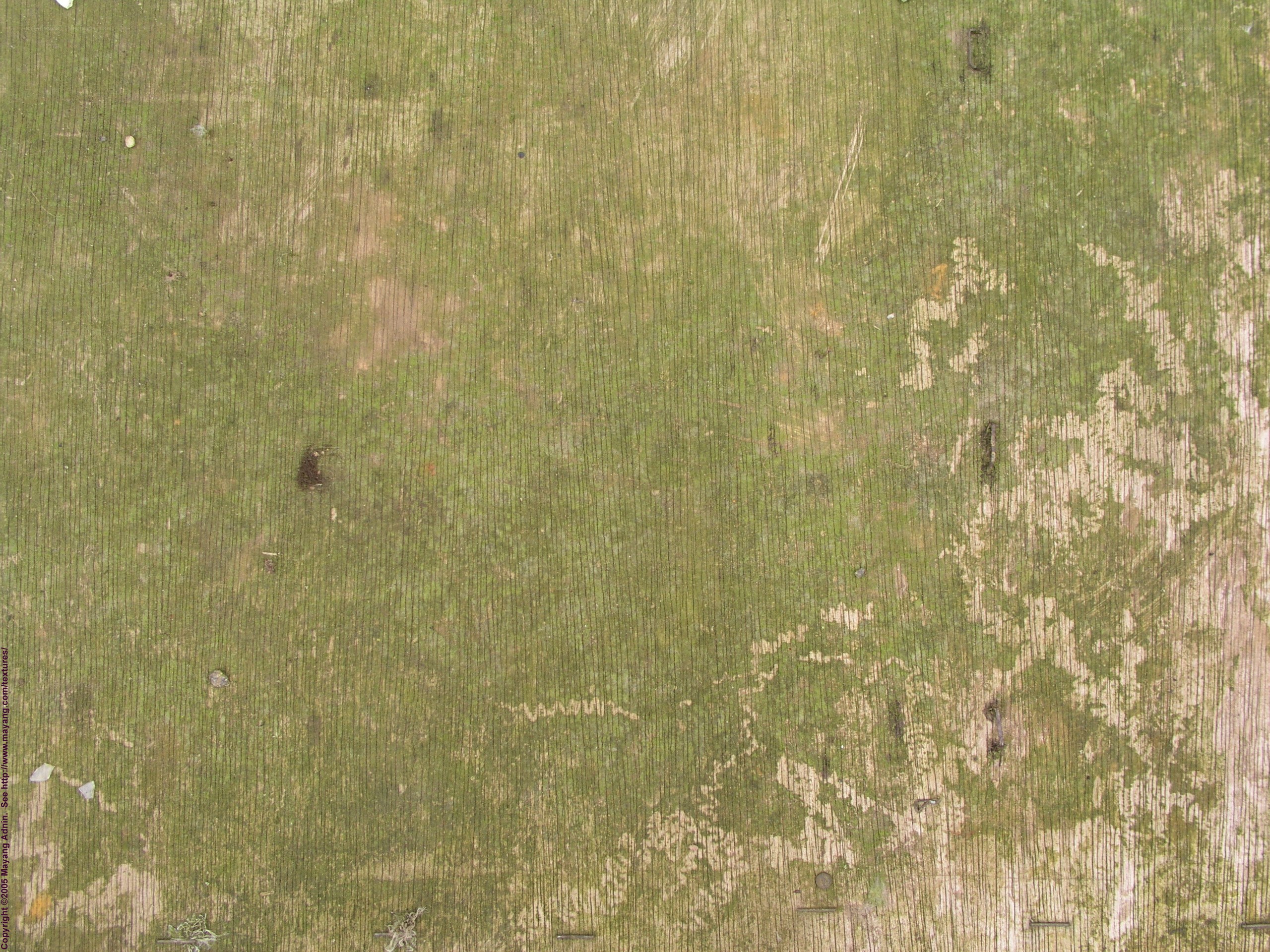 weathered wooden surface