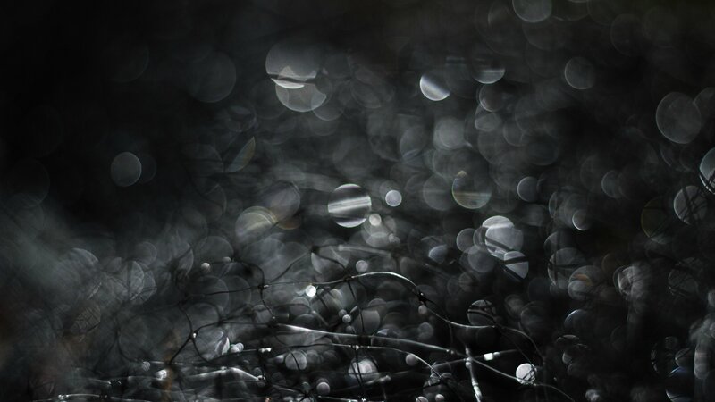 Web with Dew Drops