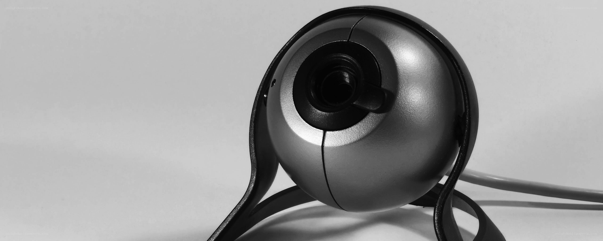 webcam with spherical design