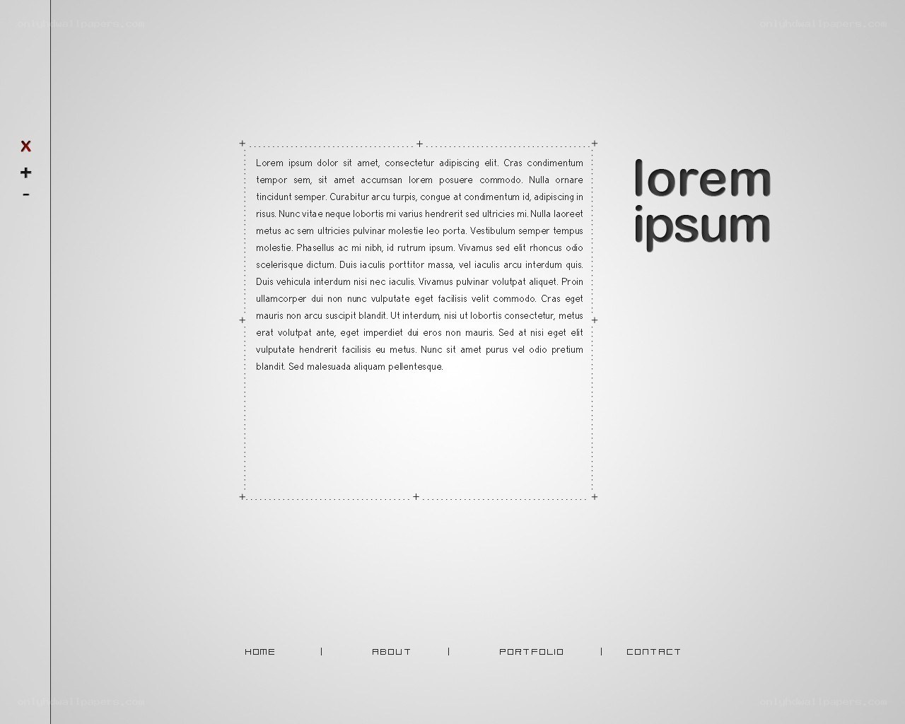 website layout with lorem ipsum