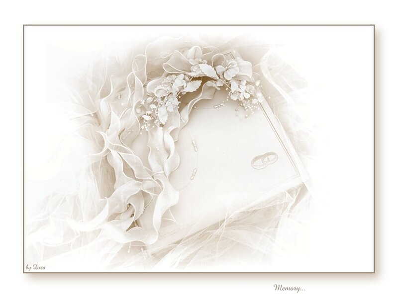 Wedding Album with Flowers