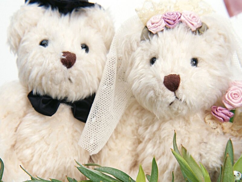 Wedding bear couple
