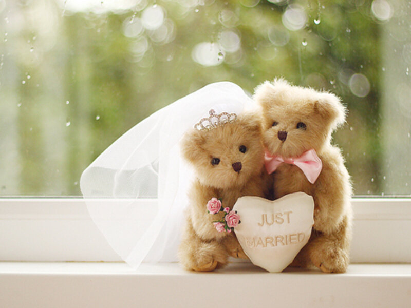 Wedding Bears on Windowsill